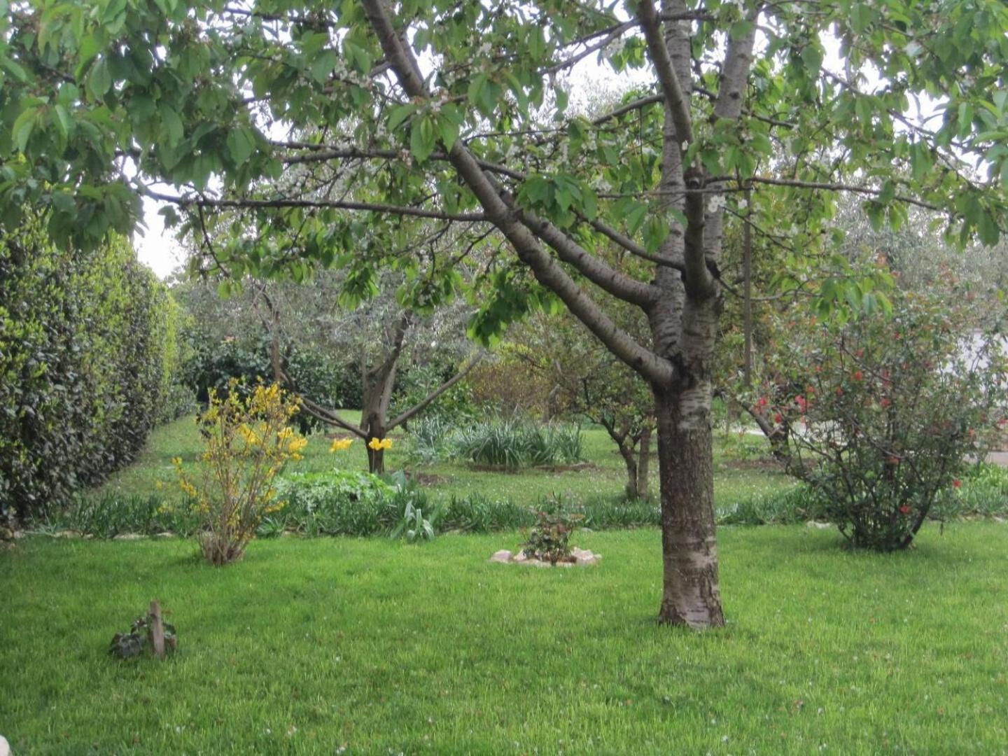 Appartement Ivan - With Large Terrace *