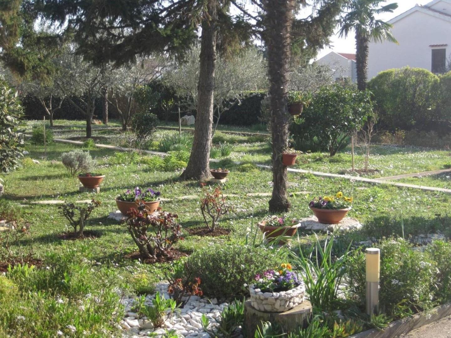 Appartement Ivan - With Large Terrace